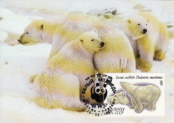 Russia 1987 Maxicard Sc #5542 10k Polar bear WWF