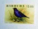 Barbuda - 242, MNH. Glossy Cowbird. SCV - $1.90