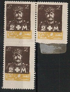 56856 - CENTRAL LITHUANIA - NICE pair of STAMPS with MYTE PERFORATION-
