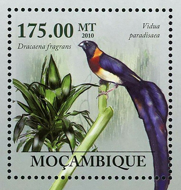 Flora Tropical Birds Stamp Vidua Paradisaea Dracaena Fragrans S/S MNH #3514