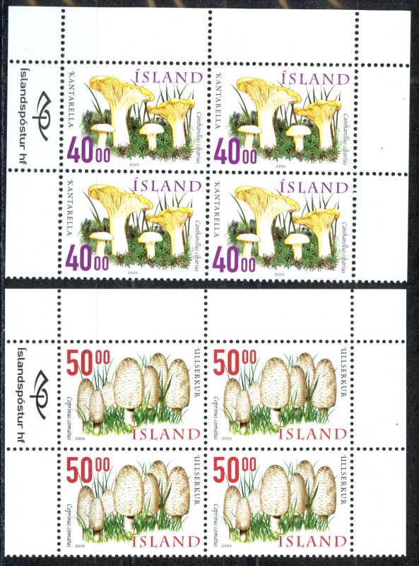 Iceland Sc# 898-899 MNH block/4 2000 Mushrooms