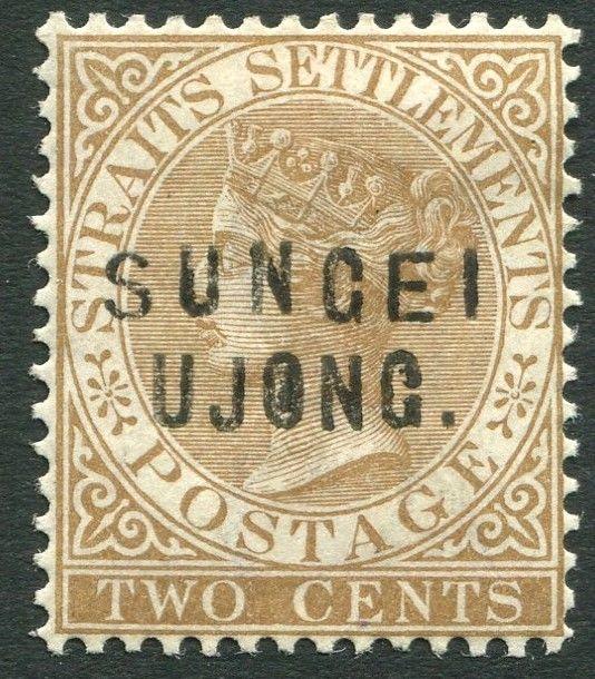 SUNGEI UJONG-1883-84 2c Brown Sg 29 MOUNTED MINT V19926