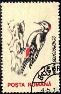 Bird, Great Spotted Woodpecker, Romania stamp SC#3816 used