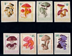 [68902] Bulgaria 1961 Mushrooms Pilze Champignons Imperf. MNH