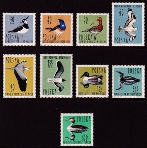 Poland, Fauna, Birds MNH / 1964