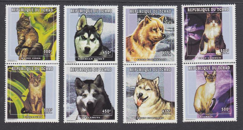 Chad Sc 738-743 MNH. 1998 Dogs & Cats, complete set of stamps & sheets, VF.