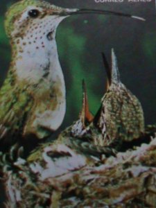 ​GUINEA EQUATORIAL-1979 HAPPY BIRD FAMILY IMPERF-CTO VF-WE SHIP TO WORLD WIDE