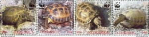 Armenia MNH** 2007 WWF. Tortoises Testudo horsfieldii Fauna Animals turtles