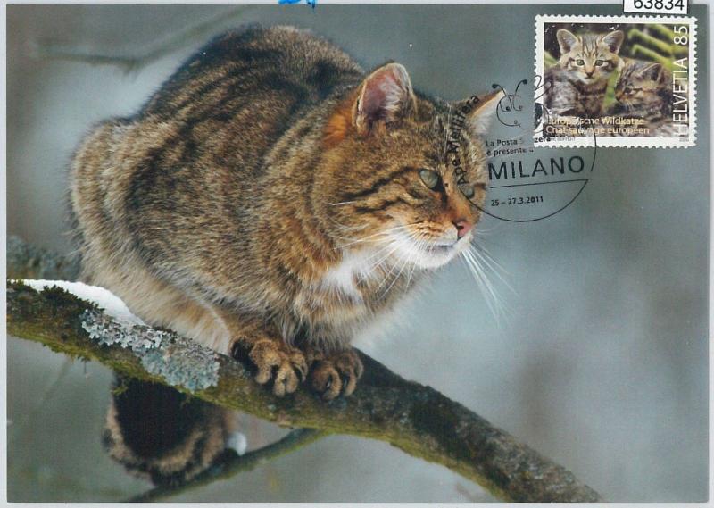 63834 - SWITZERLAND - POSTAL HISTORY: MAXIMUM CARD 2011 -  CATS