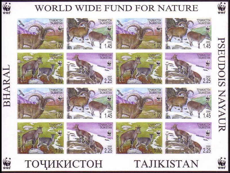 Tajikistan WWF Bharal Imperf Sheetlet of 4 sets 2005 MNH SC#266 a-d