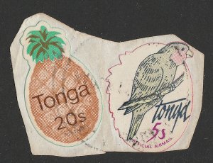 TONGA 1980 Official Airmail Bird 5s self-adhesive, redrawn no foliage. 