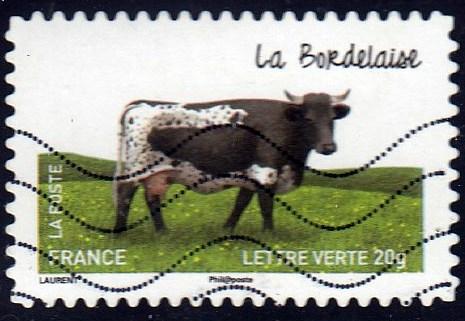 France #4578 Cattle Breed, La Bordelaise, Animals. Used