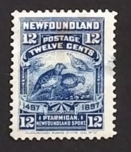 Newfoundland 69 VF Used