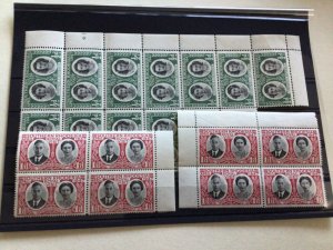 Southern Rhodesia 1947  mint never hinged stamp blocks   A13203