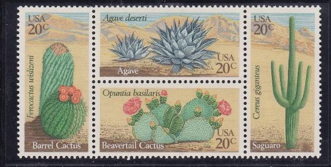 US 1942-1945, MNH Block of 8 - Desert Plants