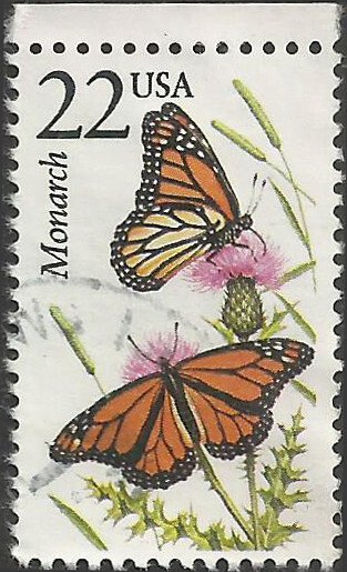 # 2287 USED MONARCH BUTTERFLY