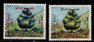 IRAQ Scott 367-368 MNH**  Tree Week  stamp set,  1965