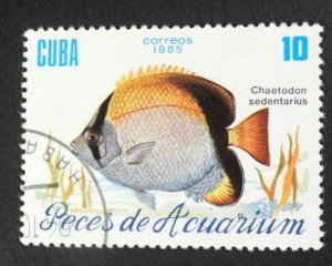 CUBA Sc# 2814  TROPICAL FISH Marine Life  10c  1985 used cto