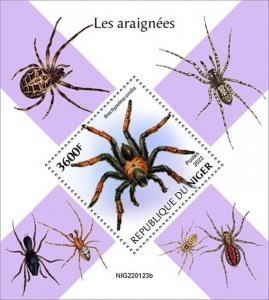 Niger - 2022 Spiders, Tarantula - Stamp Souvenir Sheet - NIG220123b
