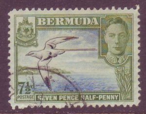 Bermuda 121D Used