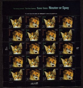 US #3670 - 71, 37c Neuter and Spay, Sheet-VF mint never hinged, fresh   STOCK...