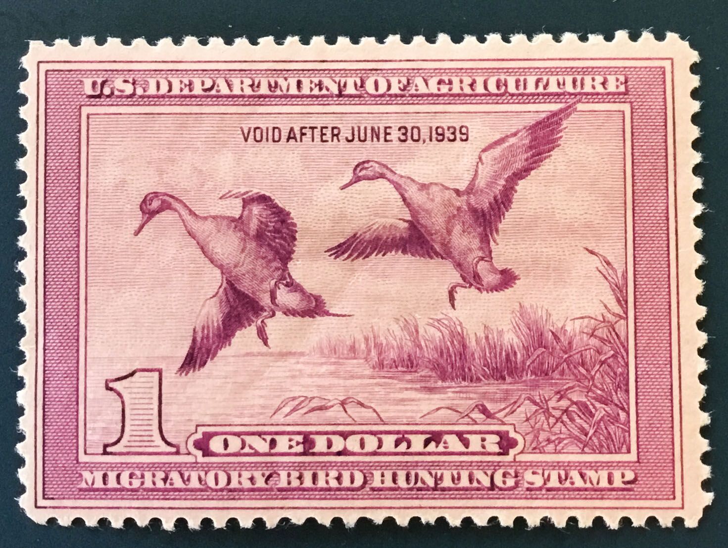 U.S.1.00 Duck Stamp1938 M/Hinge Mark. / JP25 United States, Duck Stamps Federal Stamp