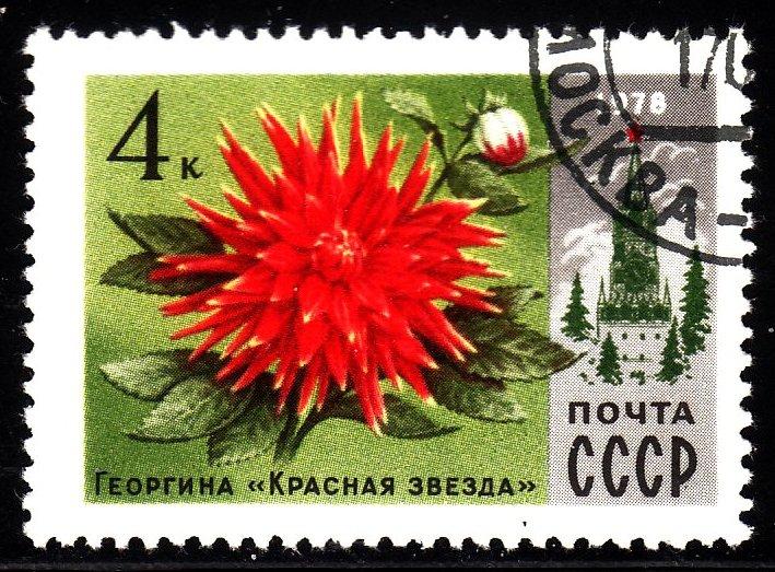 Russia 4651 - used - Flowers