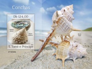 St Thomas - 2019 Shells on Stamps - Stamp Souvenir Sheet - ST190303b