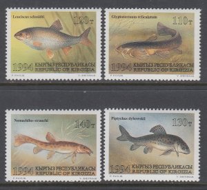 Kyrgyzstan 48-51 Fish MNH VF