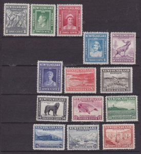 NEWFOUNDLAND #253-266 never hinged complete set
