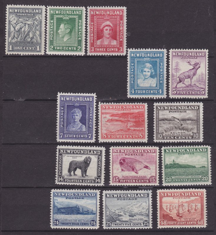 NEWFOUNDLAND #253-266 never hinged complete set