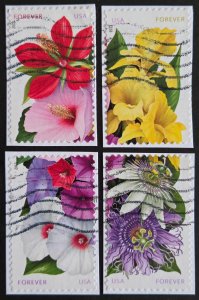 US 4750-4753 (2013 La Florida)