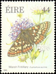 Ireland #612-615, Complete Set(4), 1985, Butterflies, Never Hinged