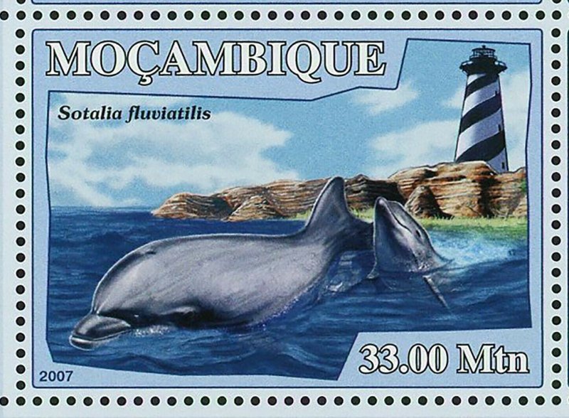 Dolphins Stamp Lighthouses Sousa Teuszii Sotalia Fluviatilis S/S MNH #3044-3049