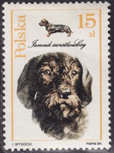 Poland 2900 Dogs Wired-Haired Dachshund 1989