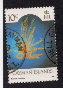 Cayman Islands 1987 10c Marine Life, Scott 563a used, value = $1.25