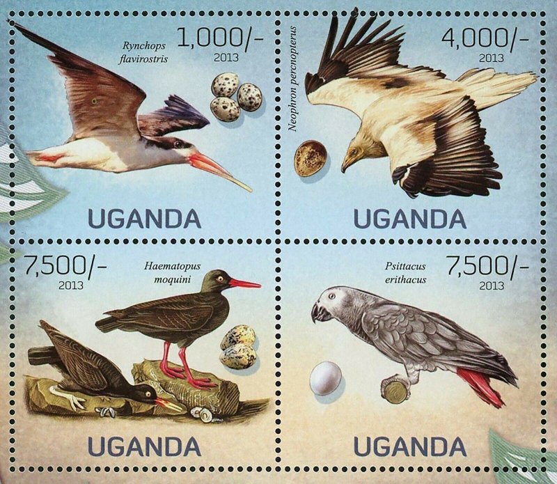 Birds Stamp Rynchops Flavirostris Haematopus Moquini Psittacus S/S MNH #3010-301