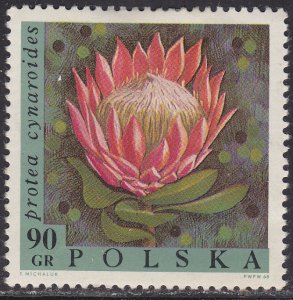 Poland 1582 Protea Cynaroides 1968