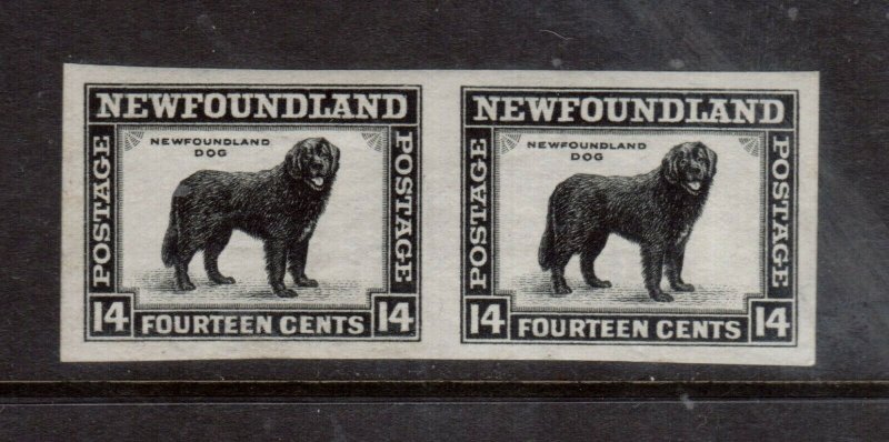 Newfoundland #261a Extra Fine Never Hinged Imperf Pair **With Certificate**