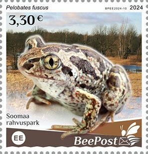 BEEPOST ESTONIA - 2024 - Frogs - Perf Single Stamp - MNH - Private Issue