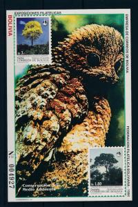 [29980] Bolivia 1994 Birds Vögel Oiseaux Ucelli Flora Fauna MNH Sheet