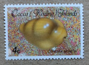 Cocos Islands 1986 4c Shells, MNH. Scott 138, CV $1.10