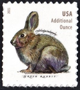 SC#5544 (20¢) Brush Rabbit Sheet Single (2021) SA