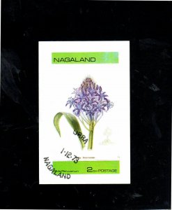 NAGALAND OF INDIA 1973  FLOWER   MINT  VF NH  O.G S/S CTO  (nag1)