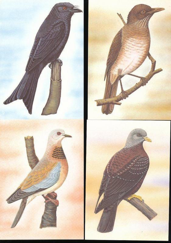 ST THOMAS & Prince Is 1983 BIRDS Wildlife Cards Maxi Unused (22 Items) [D328]