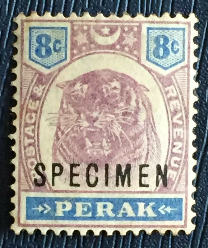 Malaya 1895 Perak Tiger 8c opt SPECIMEN SG#71 M2009 