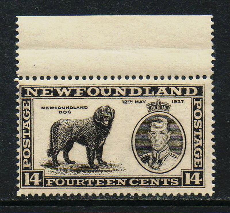 Newfoundland #238  MNH  CV $7.25