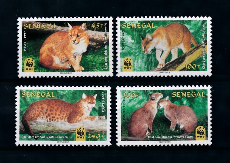 [79148] Senegal 1997 Wild life African Golden Cat WWF  MNH