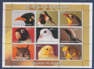 MALAGASY, MADAGASCAR -  MNH S/S - Birds, Owl, Parrot - 1999