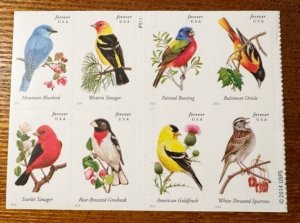 US# 4891a Song Birds booklet stamps block of 16 (8 on each side) forever Mint NH